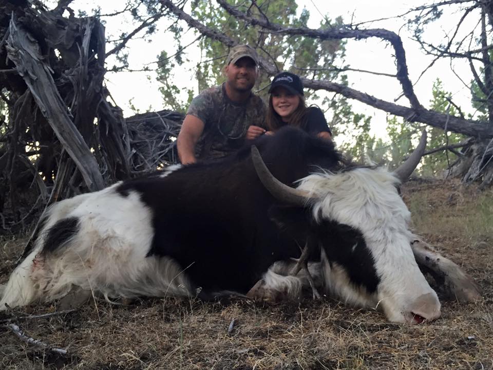 TIBETAN YAK – Four Aces Ranch | Exotic Hunting | Ashwood, OR