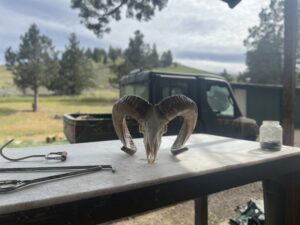 IMG_0993